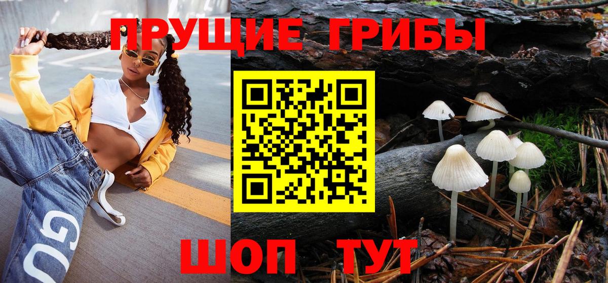 Псилоцибиновые грибы Cubensis  Вход с VPN  Ростов Великий  Псилоцибиновые грибы прущие грибы 